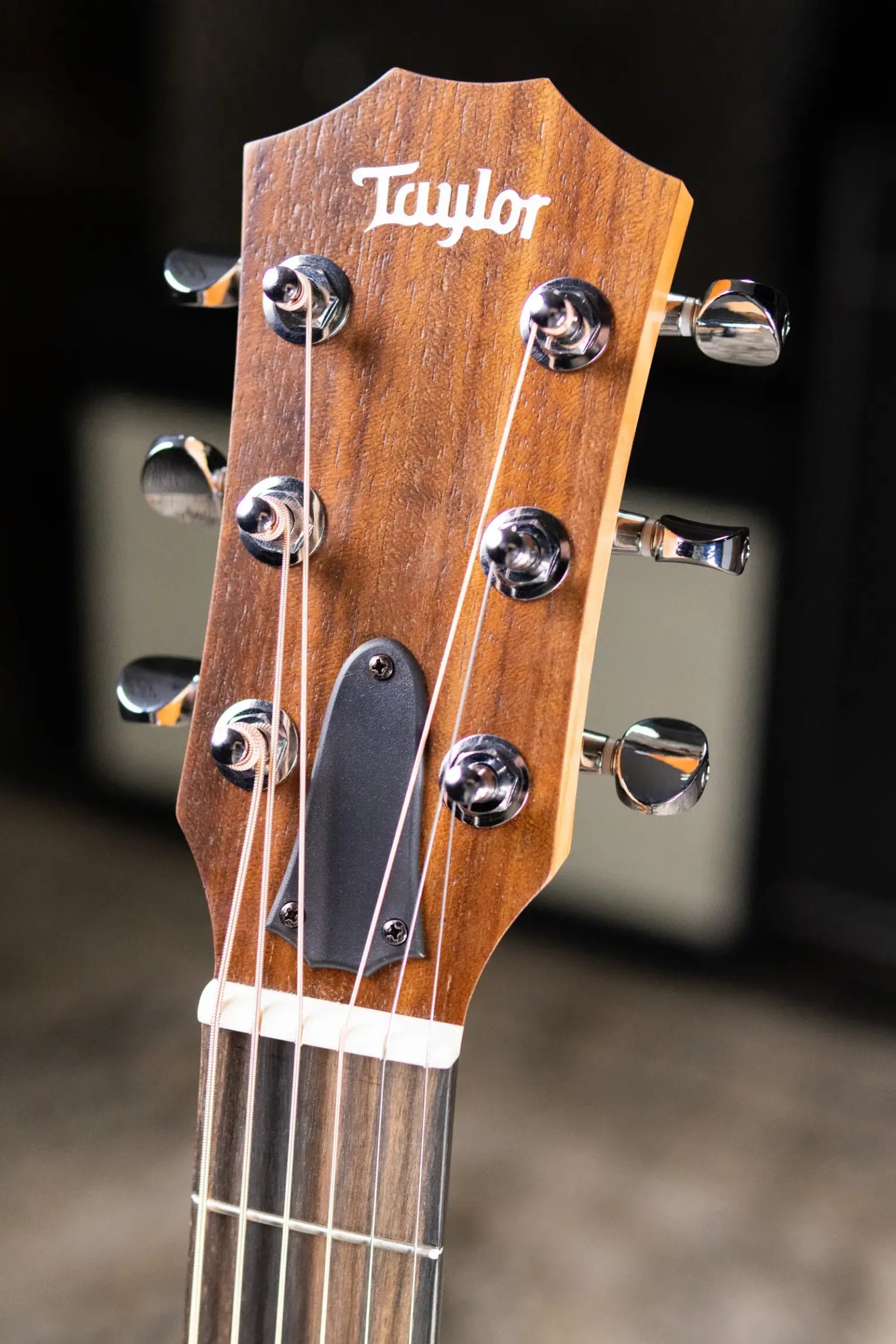 Taylor GS Mini Special Edition Guitars 4 Veterans Acoustic Guitar with GS Mini Bag