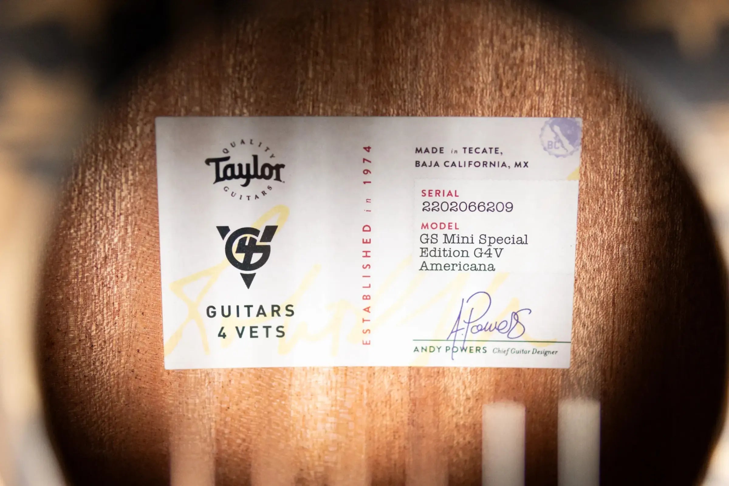 Taylor GS Mini Special Edition Guitars 4 Veterans Acoustic Guitar with GS Mini Bag