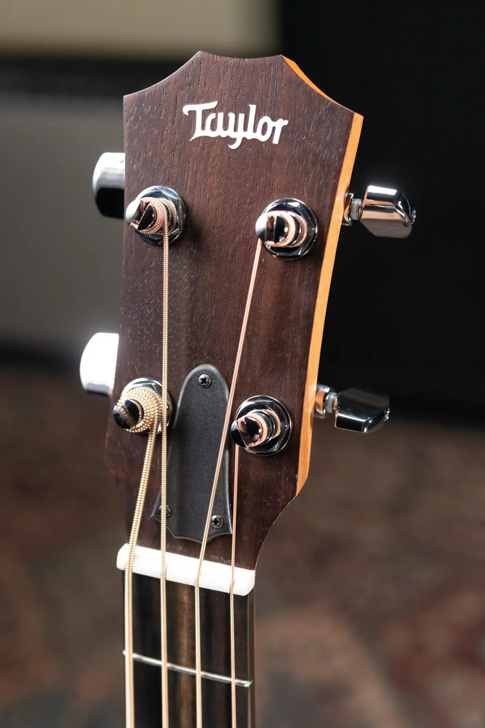 Taylor GS Mini-e Koa Acoustic/Electric Bass with GS Mini Bag
