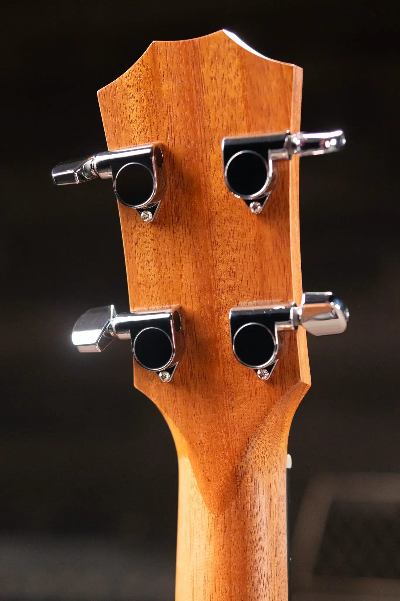 Taylor GS Mini-e Koa Bass with Gig Bag - Floor Model