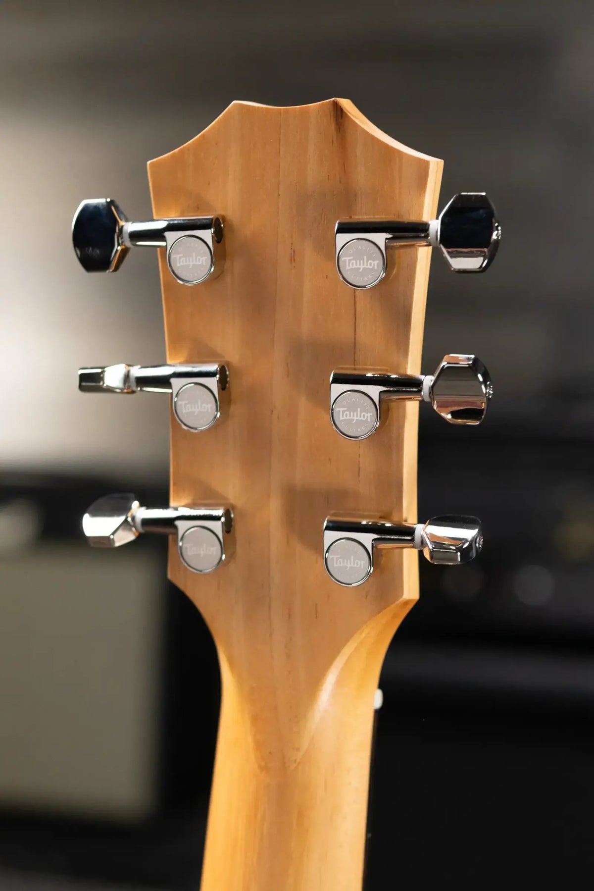 Taylor GS Mini-e Rosewood Plus Acoustic/Electric Guitar with Aerocase