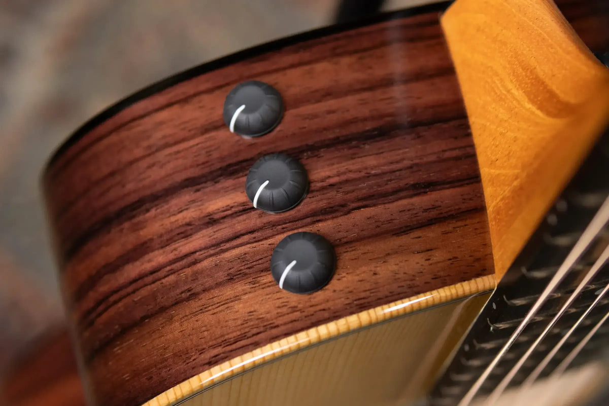 Taylor GS Mini-e Rosewood Plus Acoustic/Electric Guitar with Aerocase