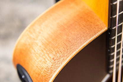 Taylor GS Mini-e Special Edition Acoustic/Electric Guitar - Honeyburst with GS Mini Bag