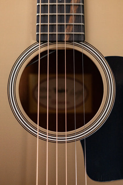 Taylor GS Mini-e Special Edition Acoustic/Electric Guitar - Tone Show with GS Mini Bag