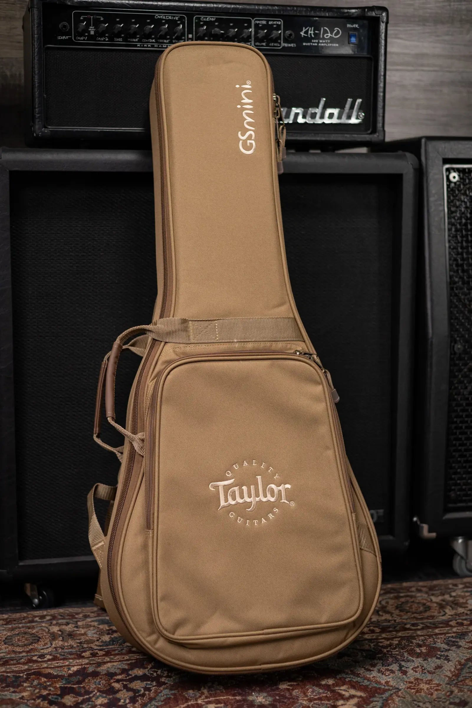 Taylor GS Mini-e Special Edition Acoustic/Electric Guitar - Tone Show with GS Mini Bag