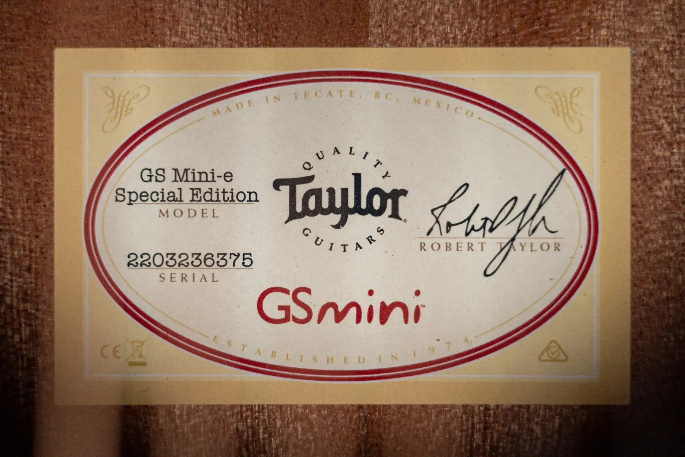 Taylor GS Mini-e Special Edition Acoustic/Electric Guitar - Tone Show with GS Mini Bag
