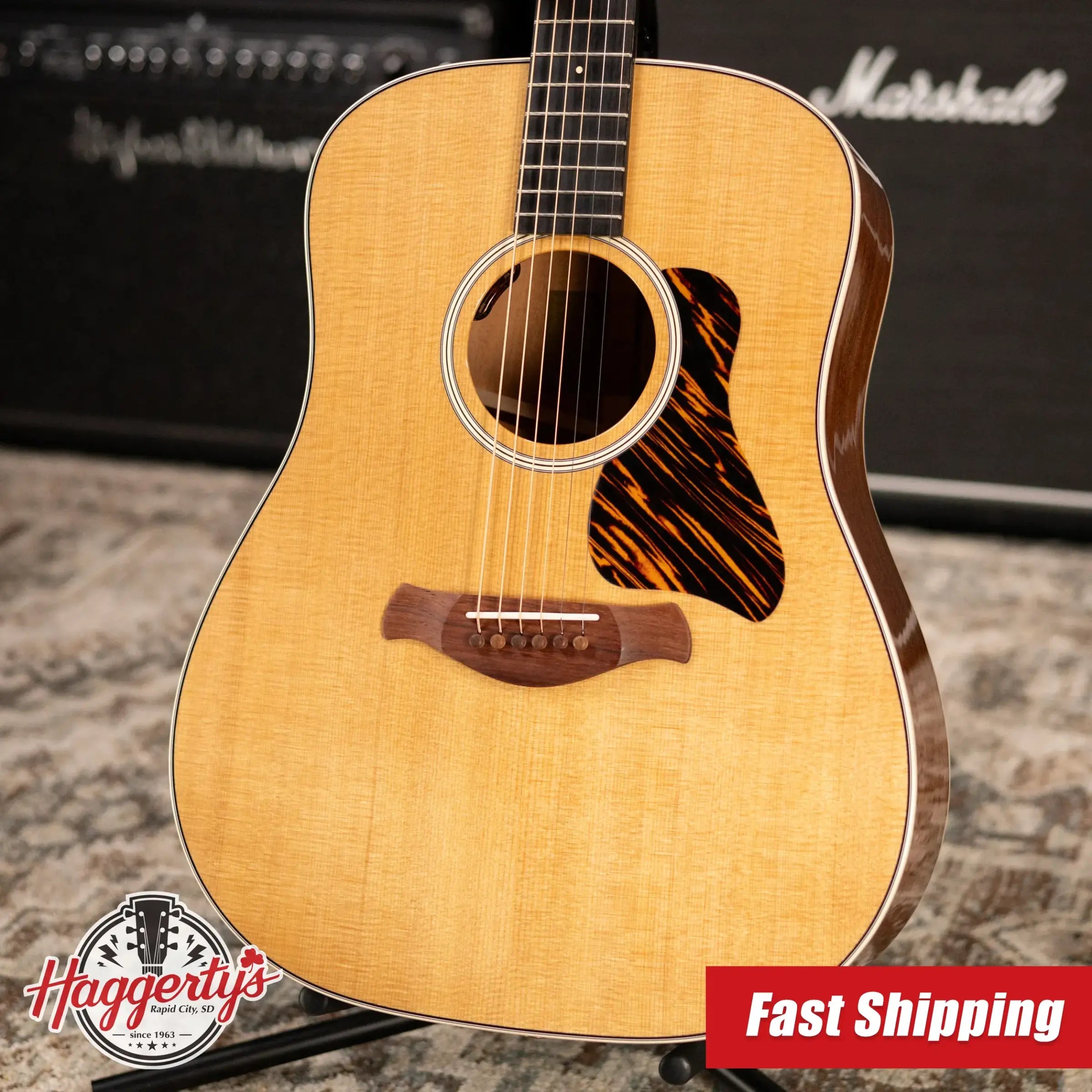 Taylor Gold Label 510e Dreadnought Acoustic/Electric Guitar with Hardshell Case