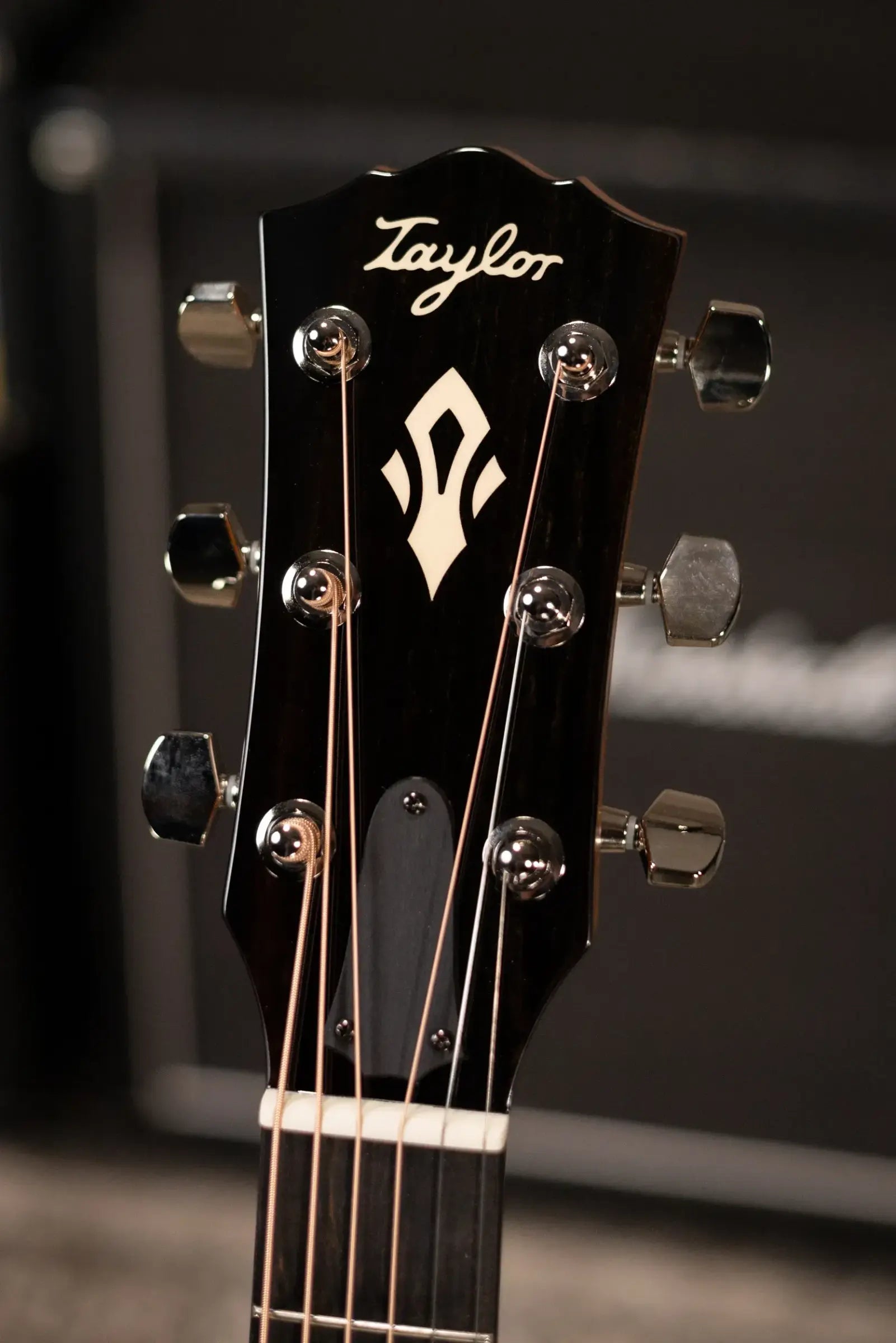 Taylor Gold Label 510e Dreadnought Acoustic/Electric Guitar with Hardshell Case