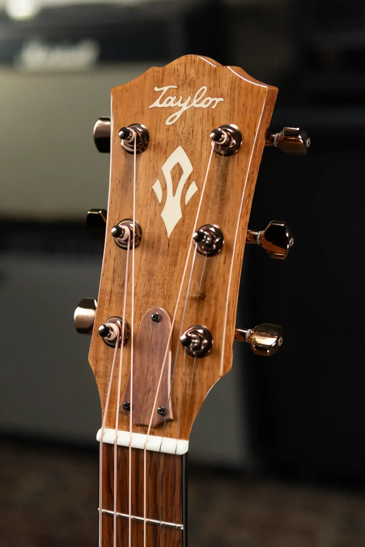 Taylor Gold Label 512e Ben Harper Signature Grand Concert Acoustic/Electric Guitar - Blacktop with Hardshell Case
