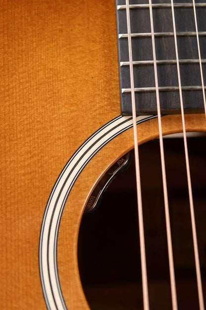 Taylor Gold Label 517e Grand Pacific Acoustic/Electric Guitar - Sunburst with Firestripe Pickguard and Hardshell Case
