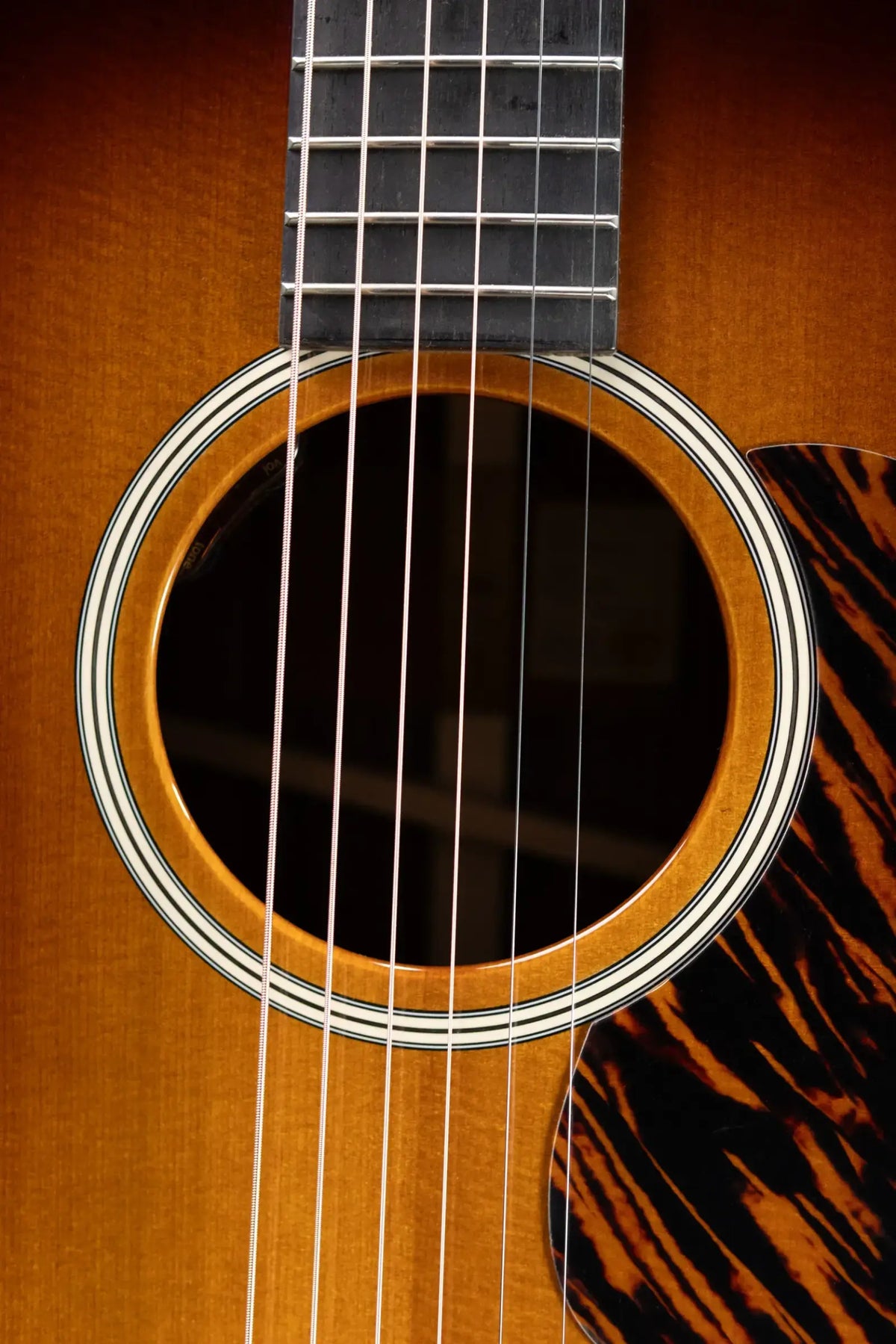 Taylor Gold Label 710e Special Edition Dreadnought Acoustic/Electric Guitar - Nashville Burst with Hardshell Case