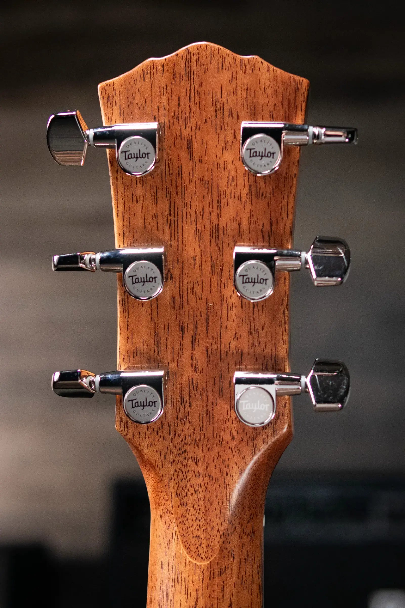 Taylor Gold Label 714e Super Auditorium Acoustic/Electric Guitar - with Hardshell Case