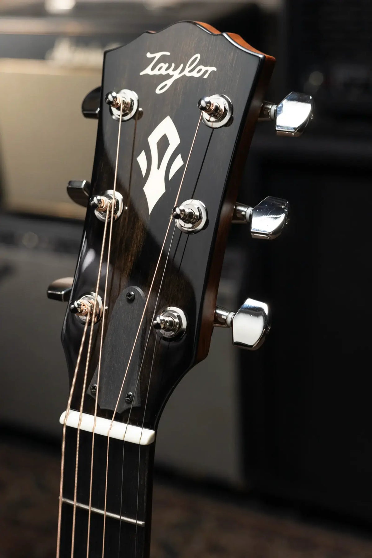 Taylor Gold Label 717e Dreadnought Acoustic/Electric Guitar - Indian Rosewood Torrefied Sitka with Hardshell Case - Demo