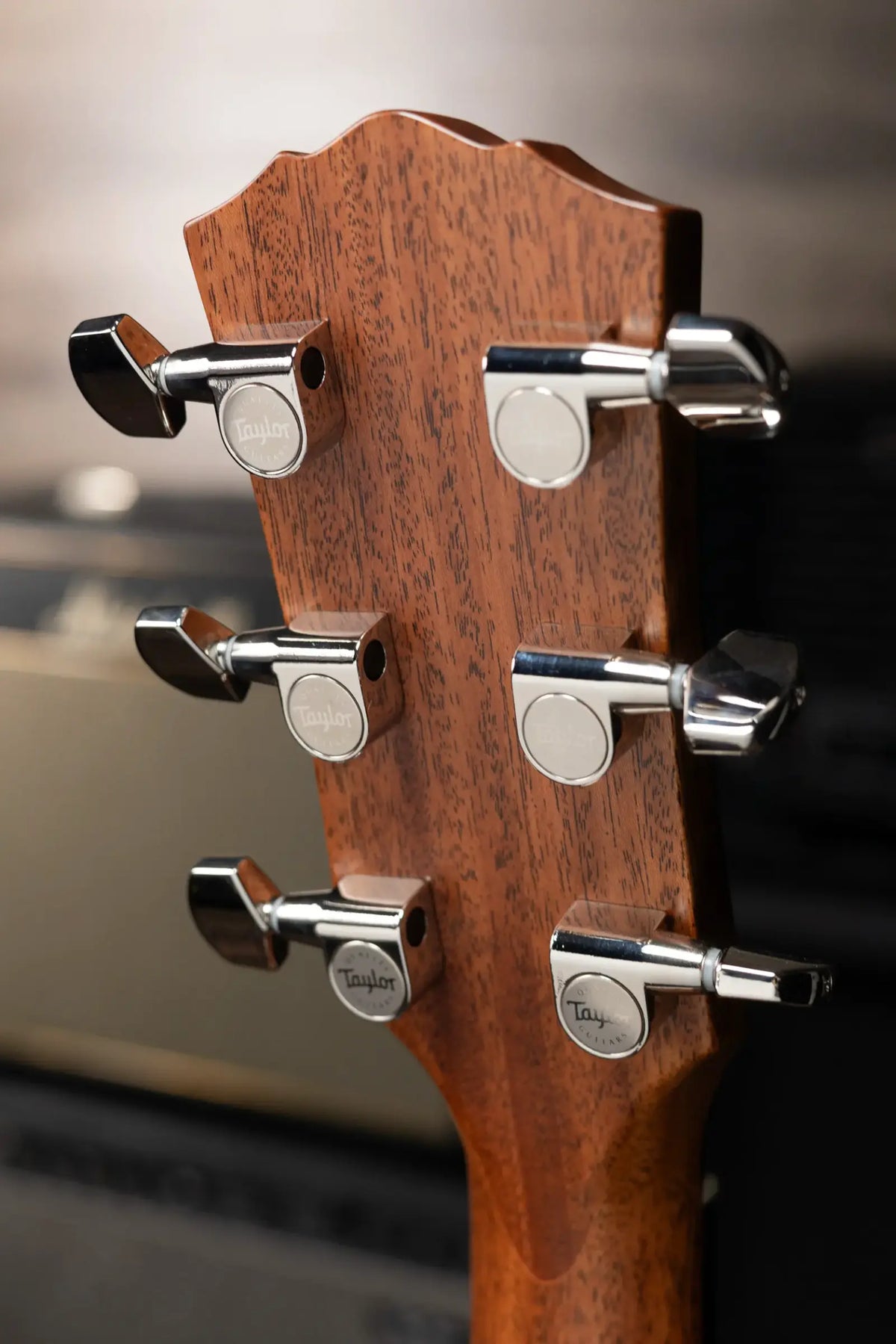 Taylor Gold Label 717e Dreadnought Acoustic/Electric Guitar - Indian Rosewood Torrefied Sitka with Hardshell Case - Demo