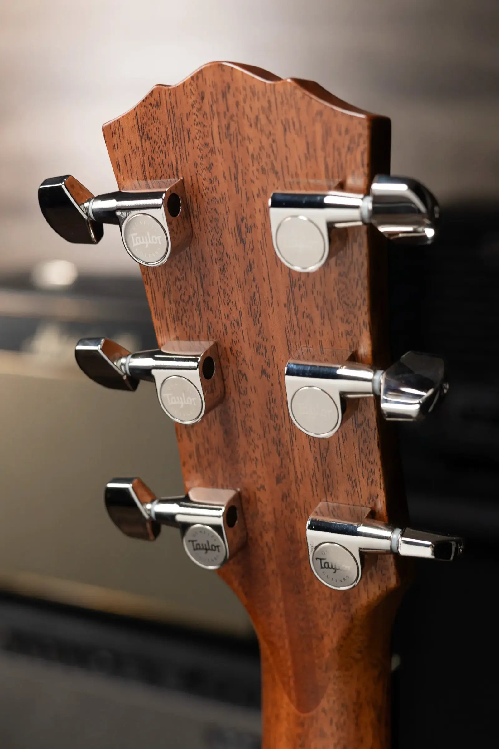 Taylor Gold Label 717e Dreadnought Acoustic/Electric Guitar - Indian Rosewood Torrefied Sitka with Hardshell Case