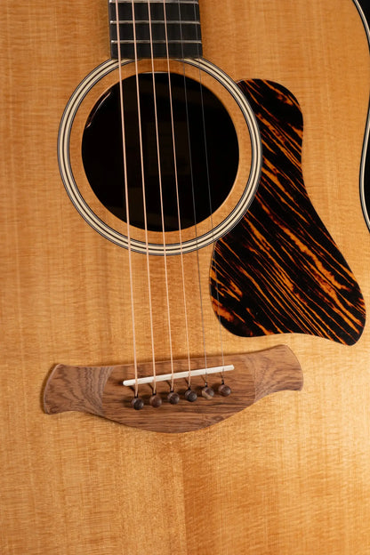 Taylor Gold Label 717e Dreadnought Acoustic/Electric Guitar - Indian Rosewood Torrefied Sitka with Hardshell Case - Demo