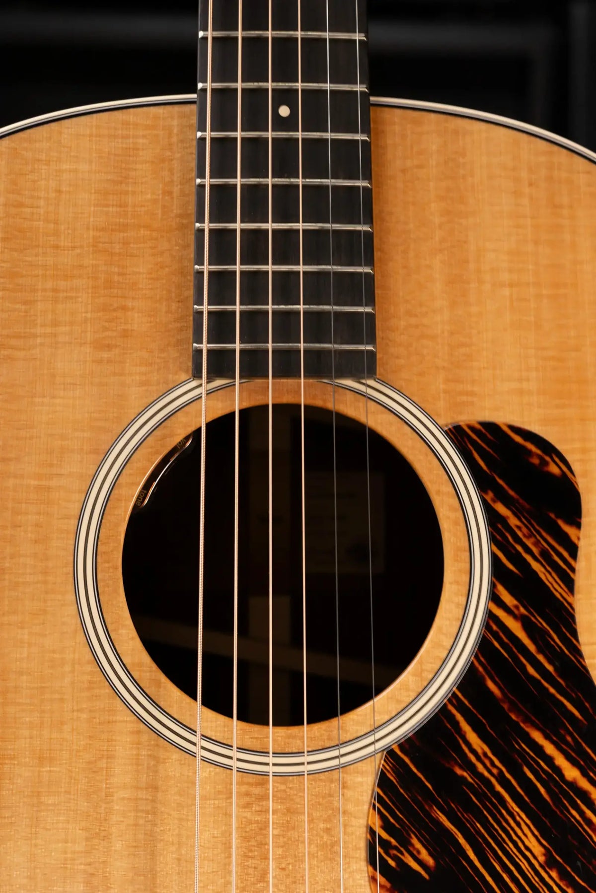 Taylor Gold Label 717e Dreadnought Acoustic/Electric Guitar - Indian Rosewood Torrefied Sitka with Hardshell Case - Demo
