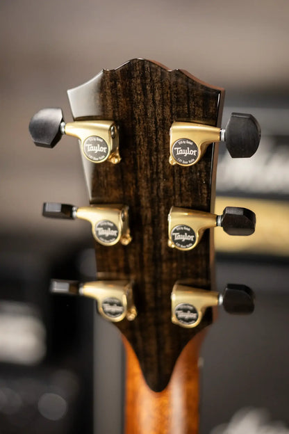 Taylor Gold Label 914e Super Auditorium Acoustic/Electric Guitar with Hardshell Case - Demo