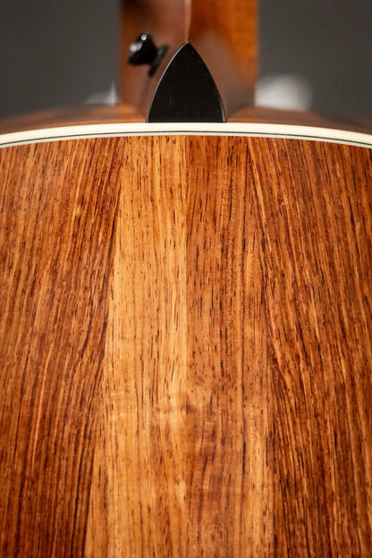 Taylor Gold Label 914e Super Auditorium Acoustic/Electric Guitar with Hardshell Case - Demo