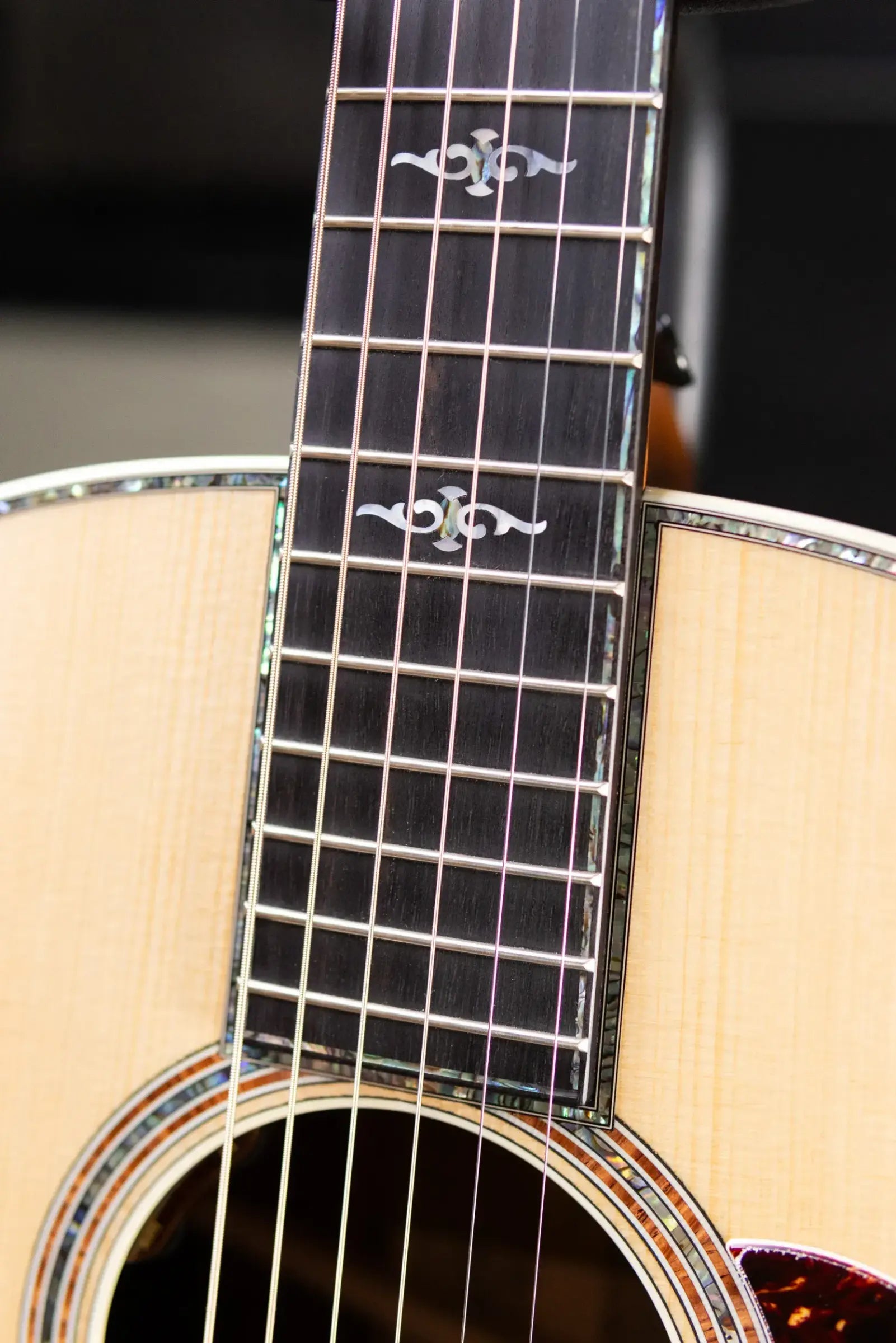 Taylor Gold Label 917e LTD Grand Pacific Acoustic/Electric Guitar - Brazilian Rosewood with Hardshell Case