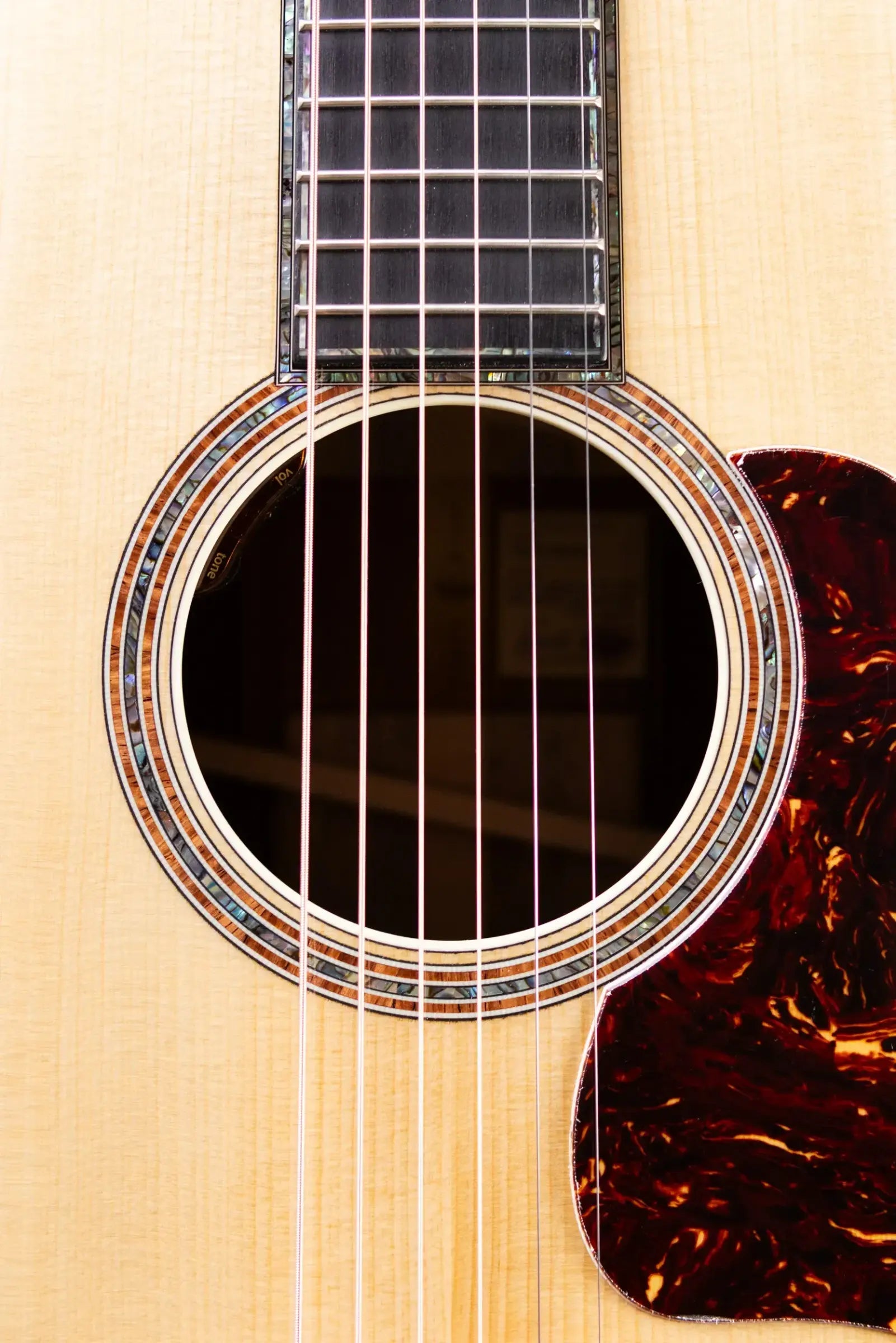 Taylor Gold Label 917e LTD Grand Pacific Acoustic/Electric Guitar - Brazilian Rosewood with Hardshell Case