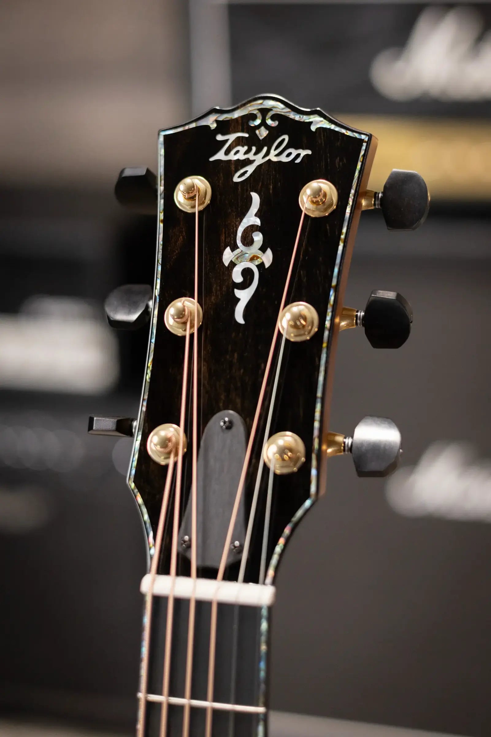 Taylor Gold Label 917e SB Grand Pacific Acoustic/Electric Guitar - Sunburst with Hardshell Case