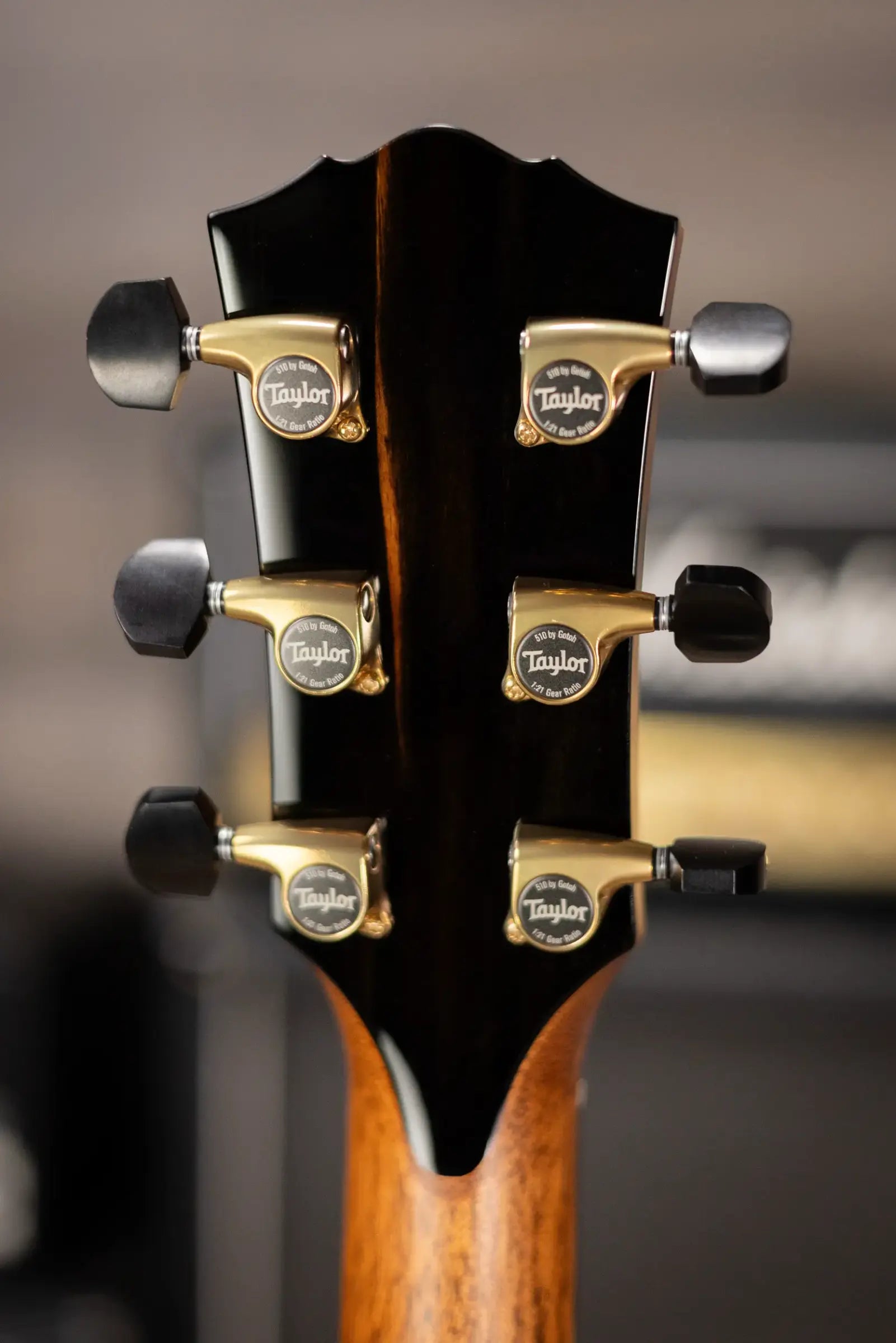 Taylor Gold Label 917e SB Grand Pacific Acoustic/Electric Guitar - Sunburst with Hardshell Case