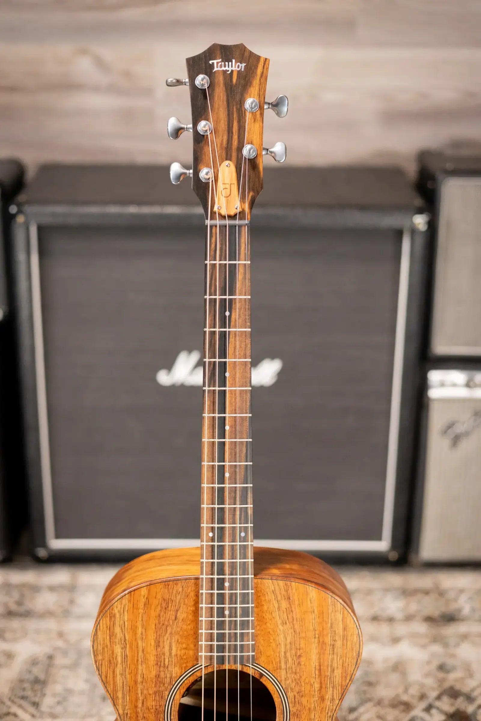 Taylor JCSM-5 Jacob Collier Signature 5-String Acoustic/Electric Guitar with Hardshell Case