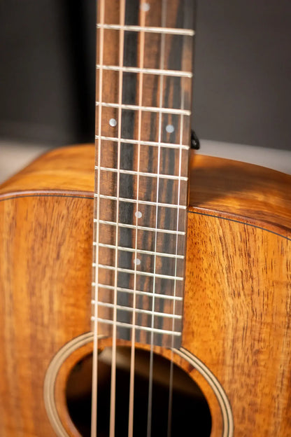 Taylor JCSM-5 Jacob Collier Signature 5-String Acoustic/Electric Guitar with Hardshell Case