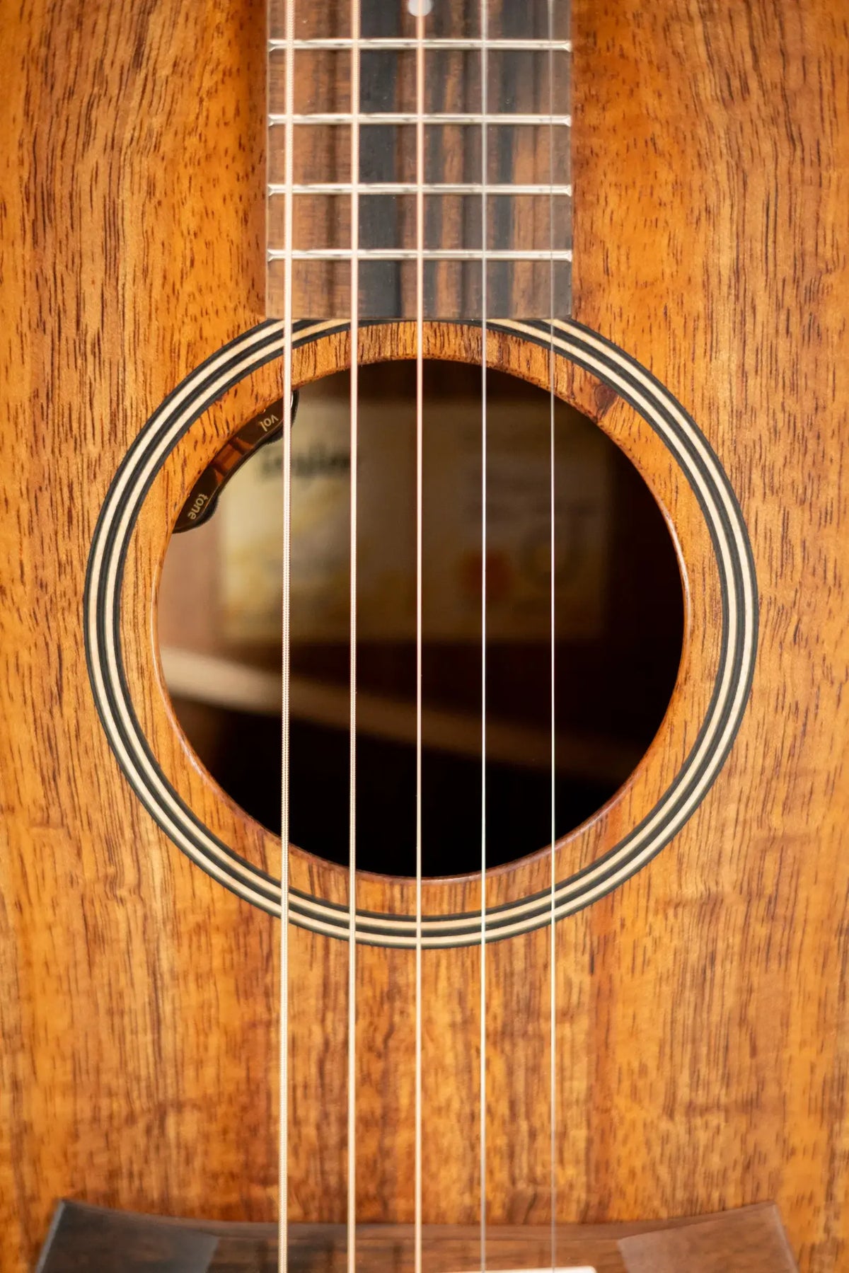 Taylor JCSM-5 Jacob Collier Signature 5-String Acoustic/Electric Guitar with Hardshell Case - Factory Demo