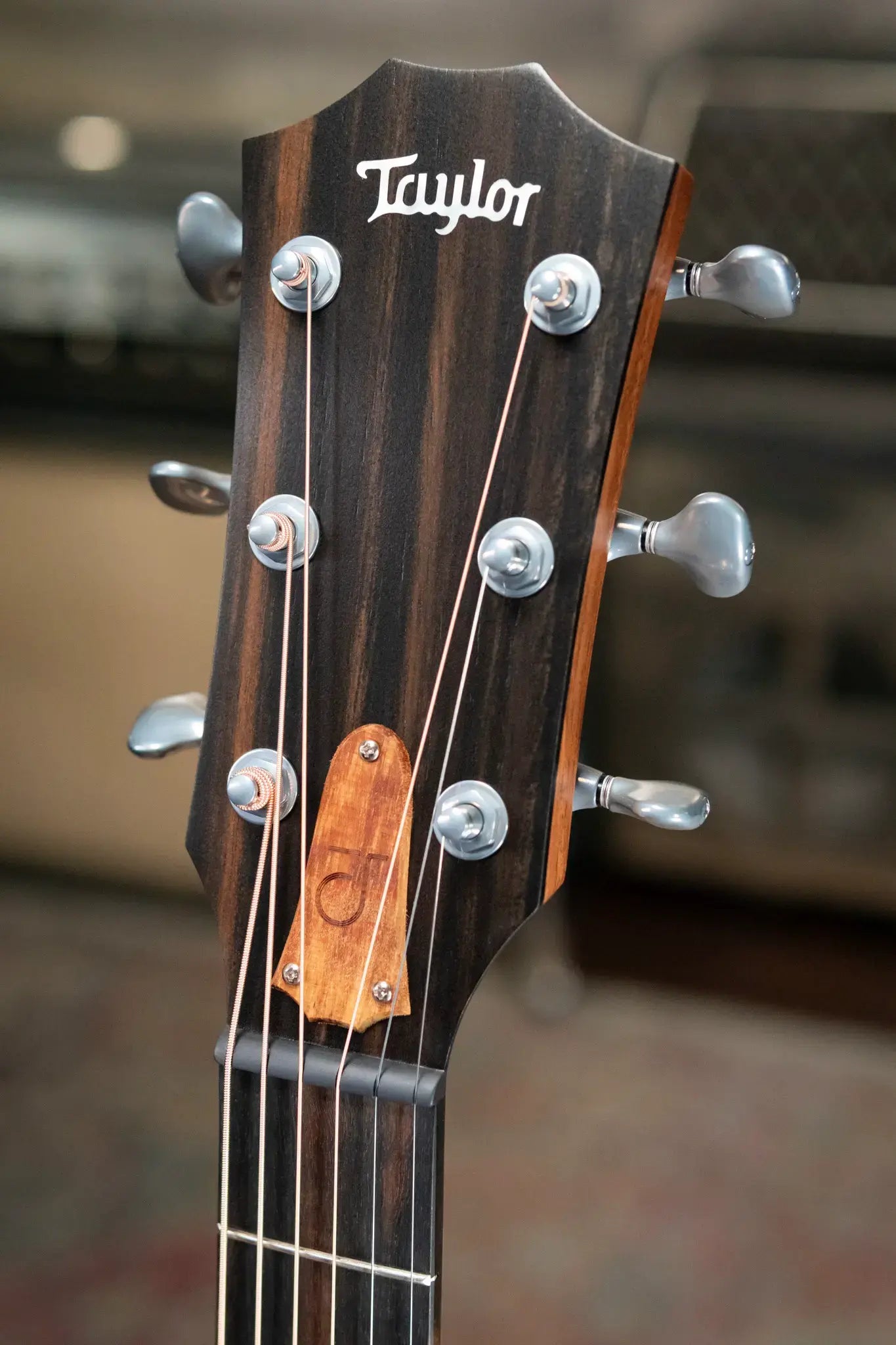 Taylor JCSM-6 Jacob Collier Signature Acoustic/Electric Guitar with Hardshell Case - Demo