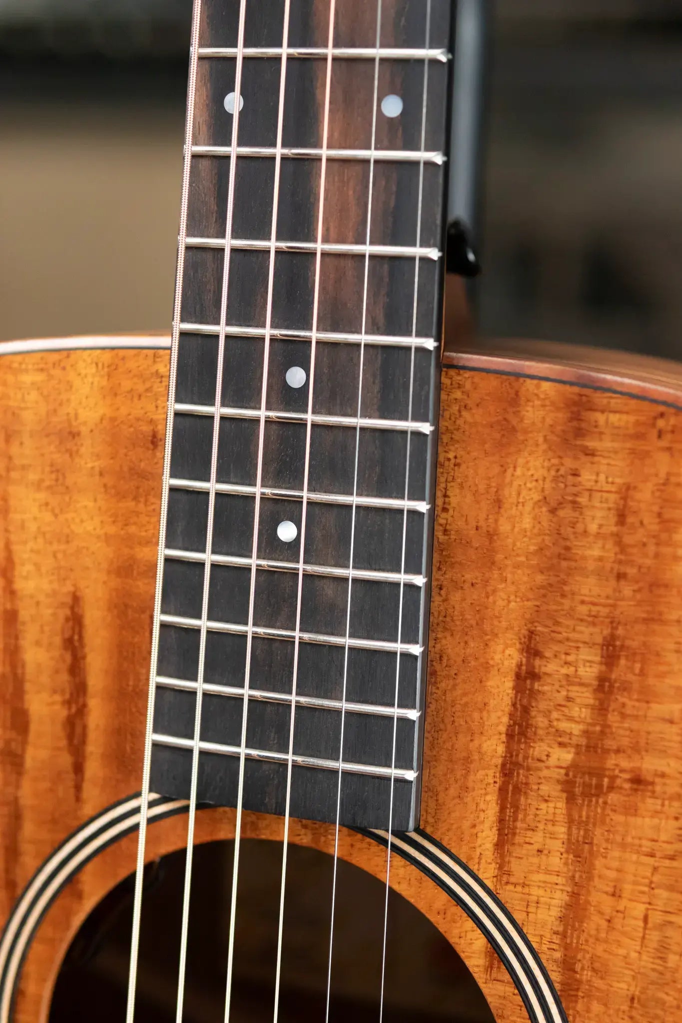 Taylor JCSM-6 Jacob Collier Signature Acoustic/Electric Guitar with Hardshell Case - Demo