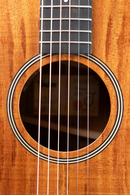 Taylor JCSM-6 Jacob Collier Signature Acoustic/Electric Guitar with Hardshell Case - Demo