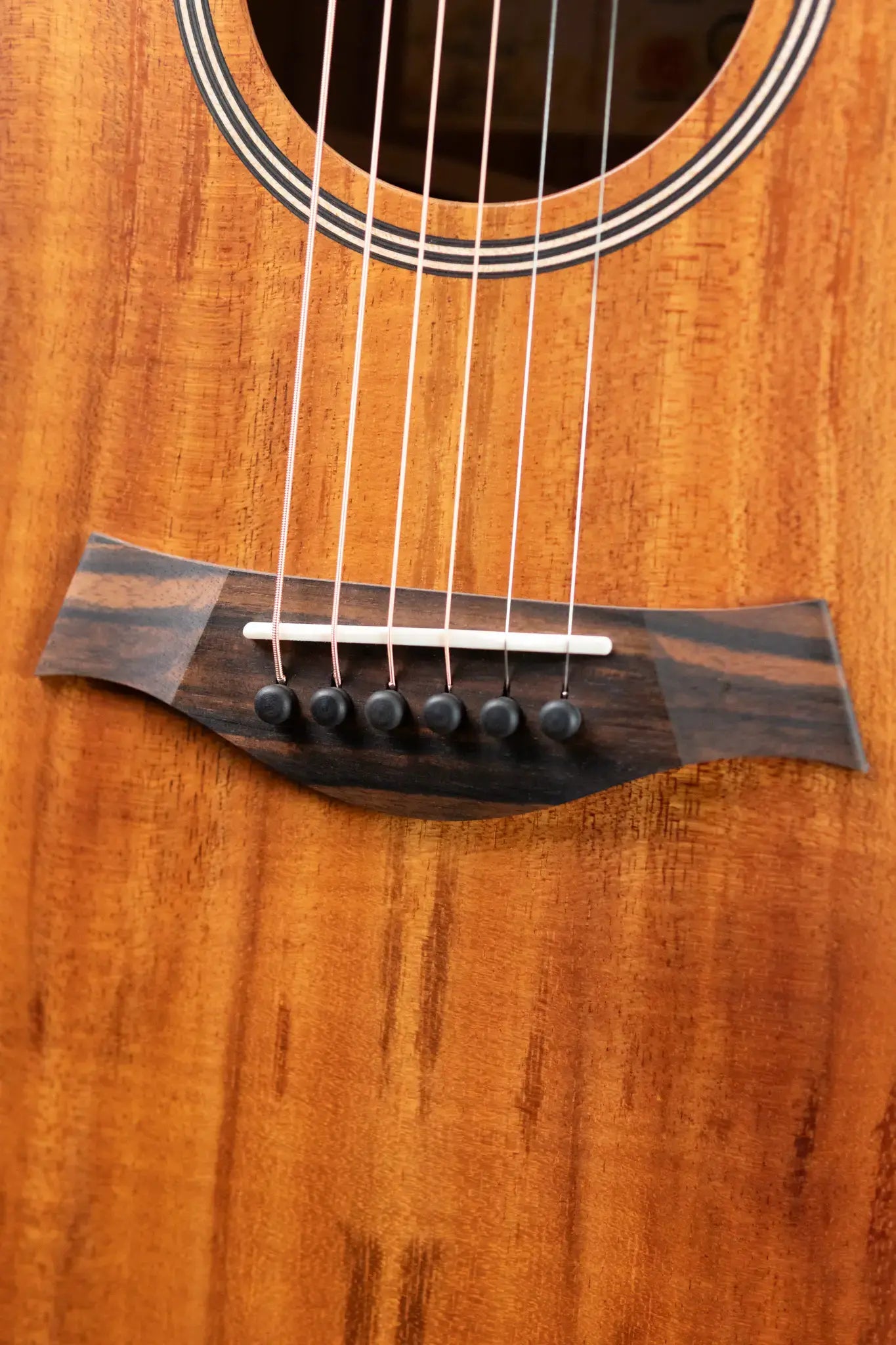 Taylor JCSM-6 Jacob Collier Signature Acoustic/Electric Guitar with Hardshell Case - Demo