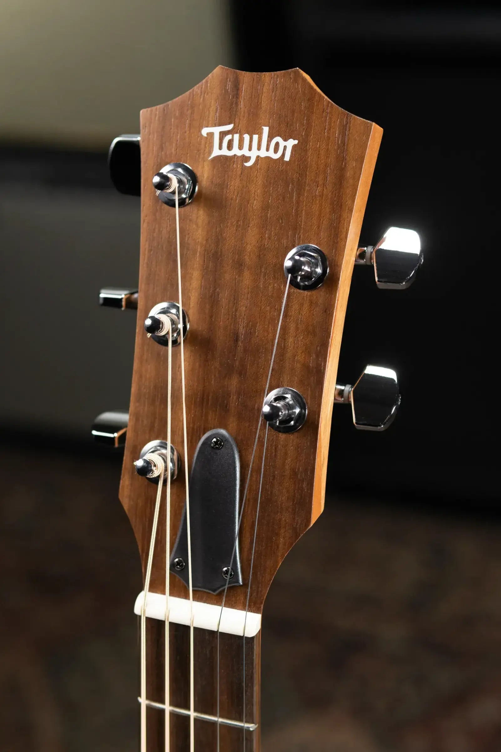 Taylor Jacob Collier Academy 22e 5-String Grand Concert Acoustic/Electric Guitar with Gig Bag