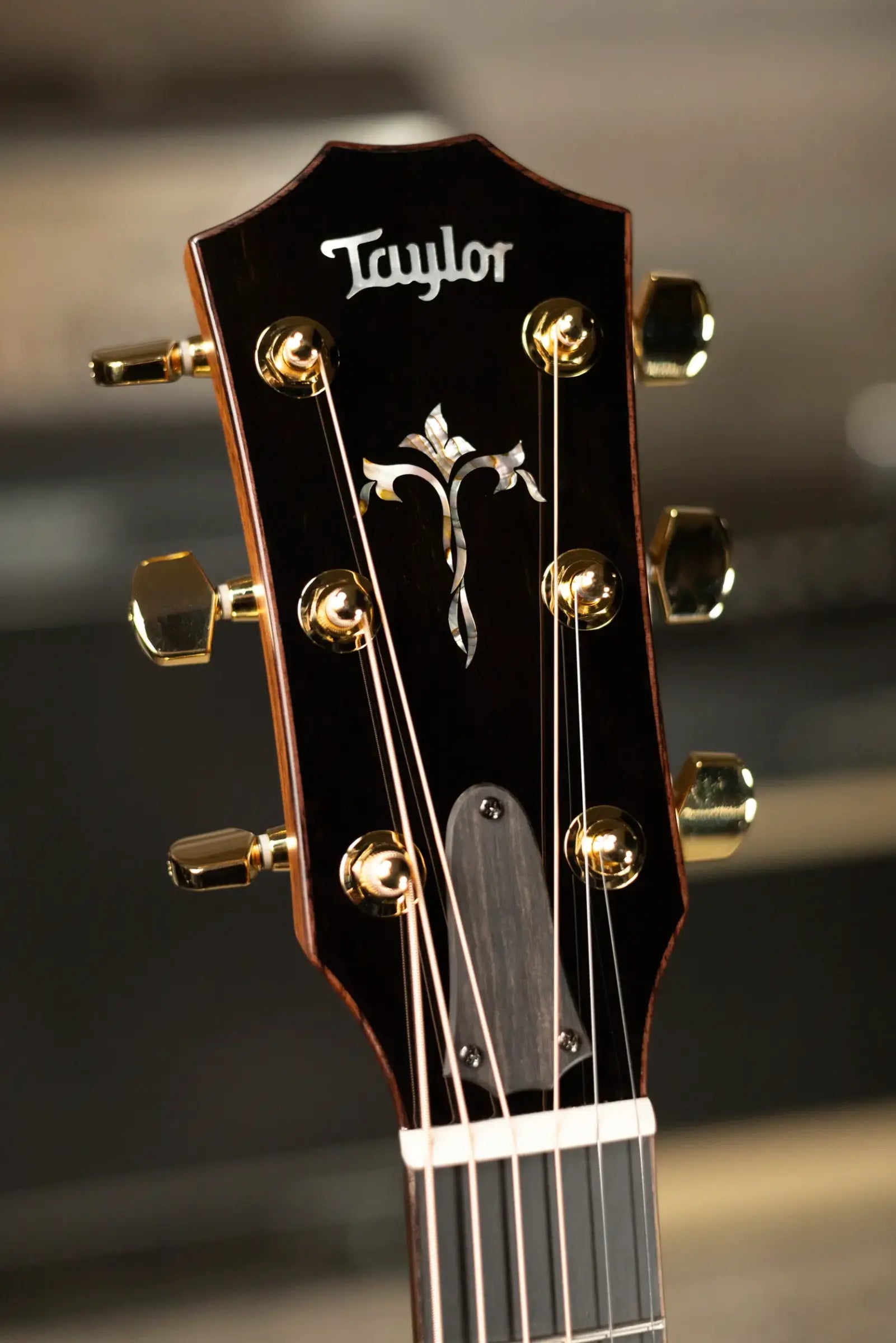 Taylor Legacy 914ce Grand Auditorium Acoustic/Electric Guitar with Hardshell Case