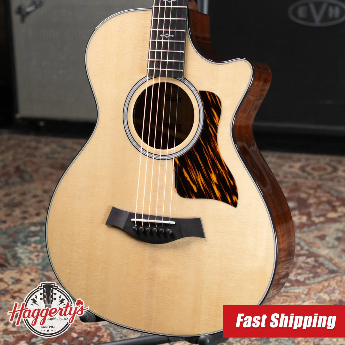 Taylor Next Generation 312ce 12-Fret Grand Concert Acoustic/Electric Guitar with Hardshell Case