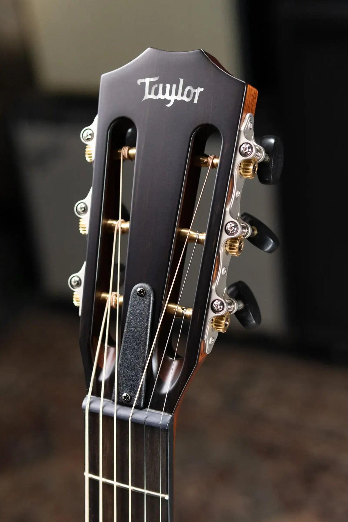 Taylor Next Generation 312ce 12-Fret Grand Concert Acoustic/Electric Guitar with Hardshell Case
