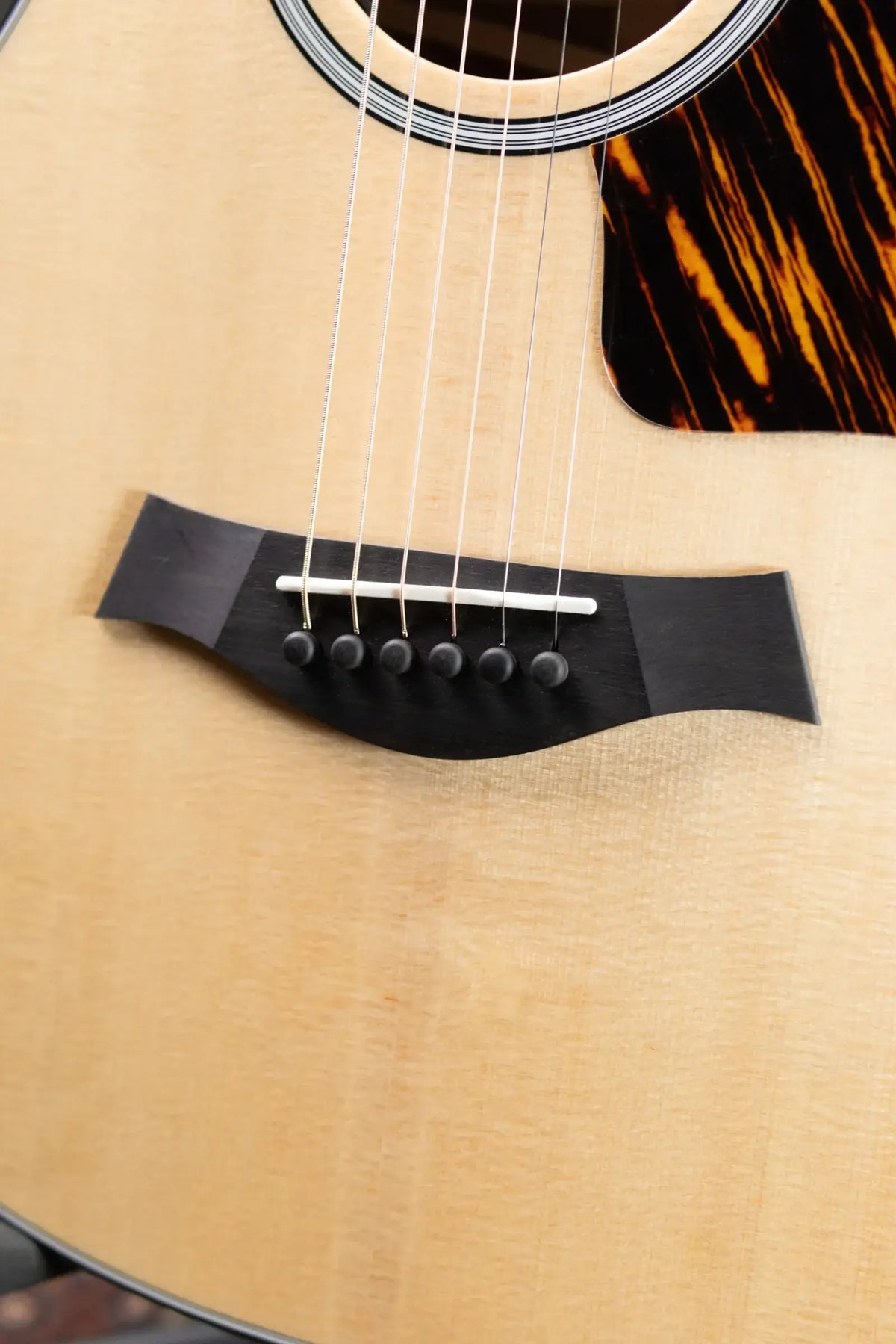 Taylor Next Generation 312ce 12-Fret Grand Concert Acoustic/Electric Guitar with Hardshell Case