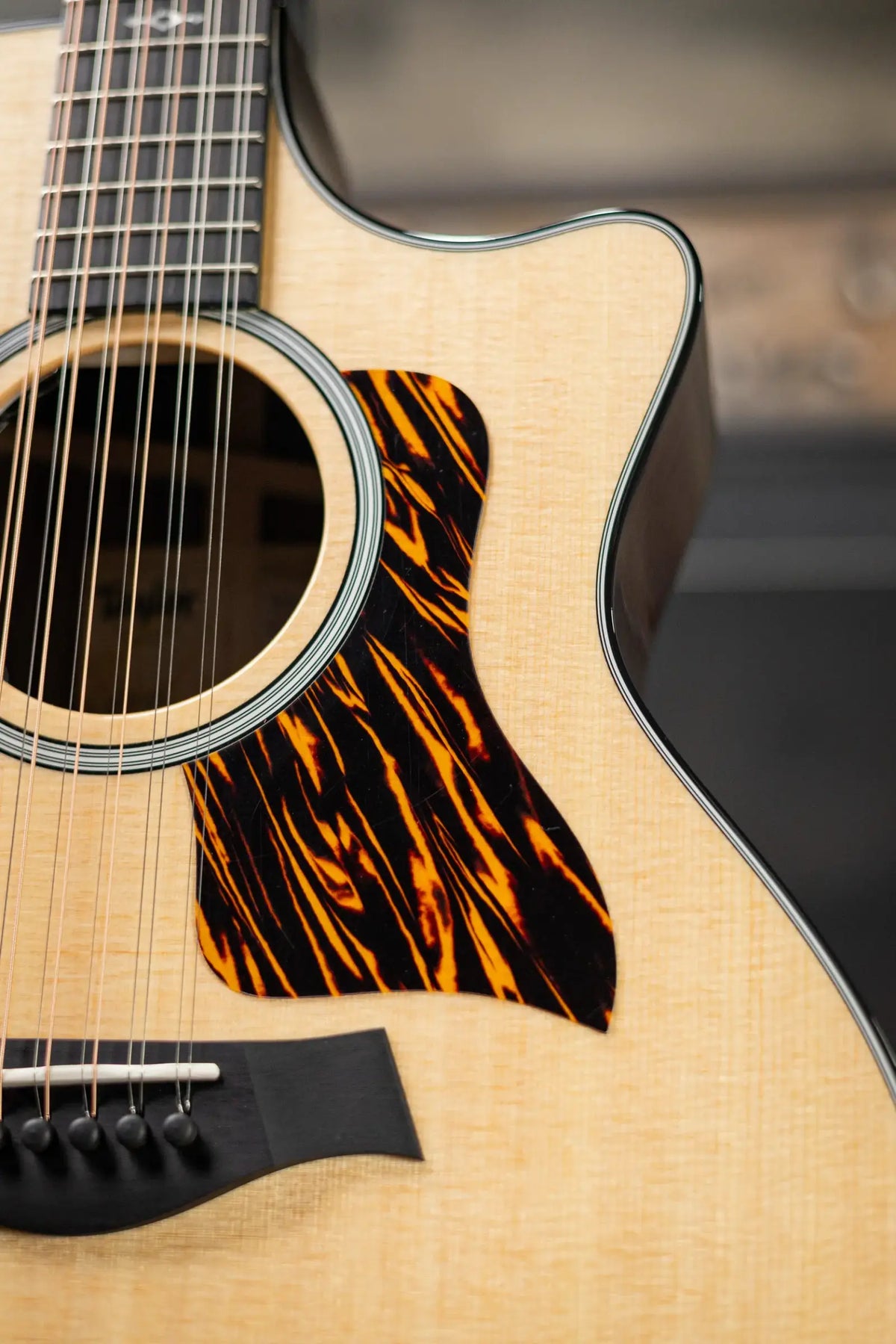 Taylor Next Generation 454ce 12-String Grand Auditorium Acoustic/Electric Guitar with Hardshell Case