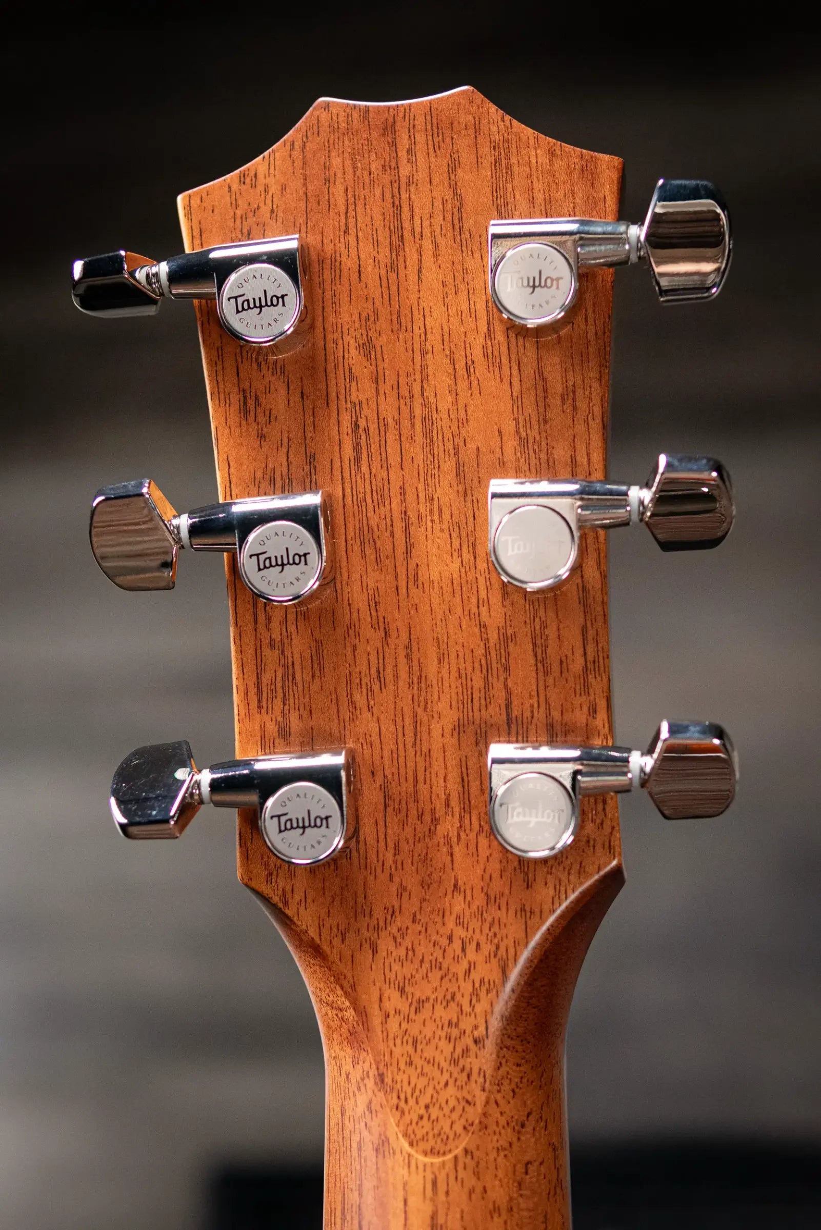 Taylor Next Generation 514ce Grand Auditorium Acoustic/Electric Guitar with Hardshell Case