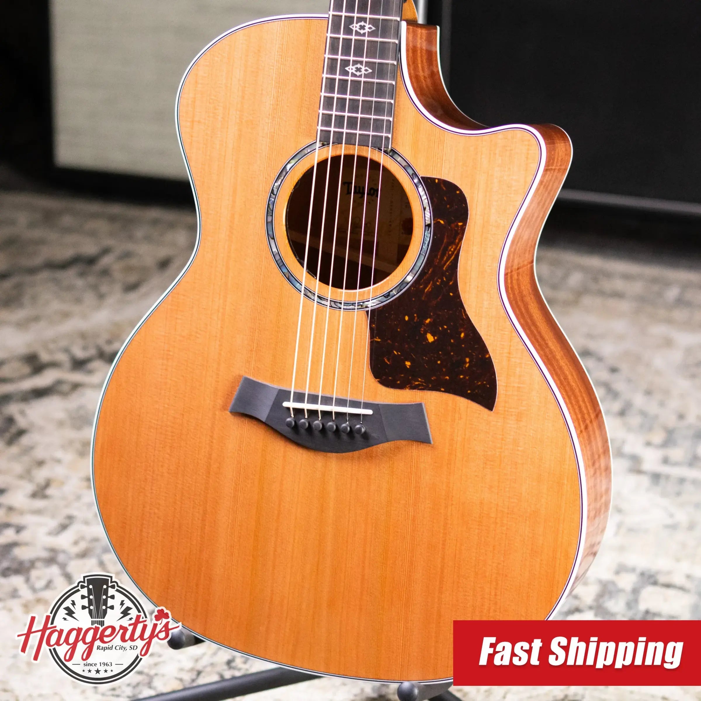 Taylor Next Generation 514ce Grand Auditorium Acoustic/Electric Guitar with Hardshell Case