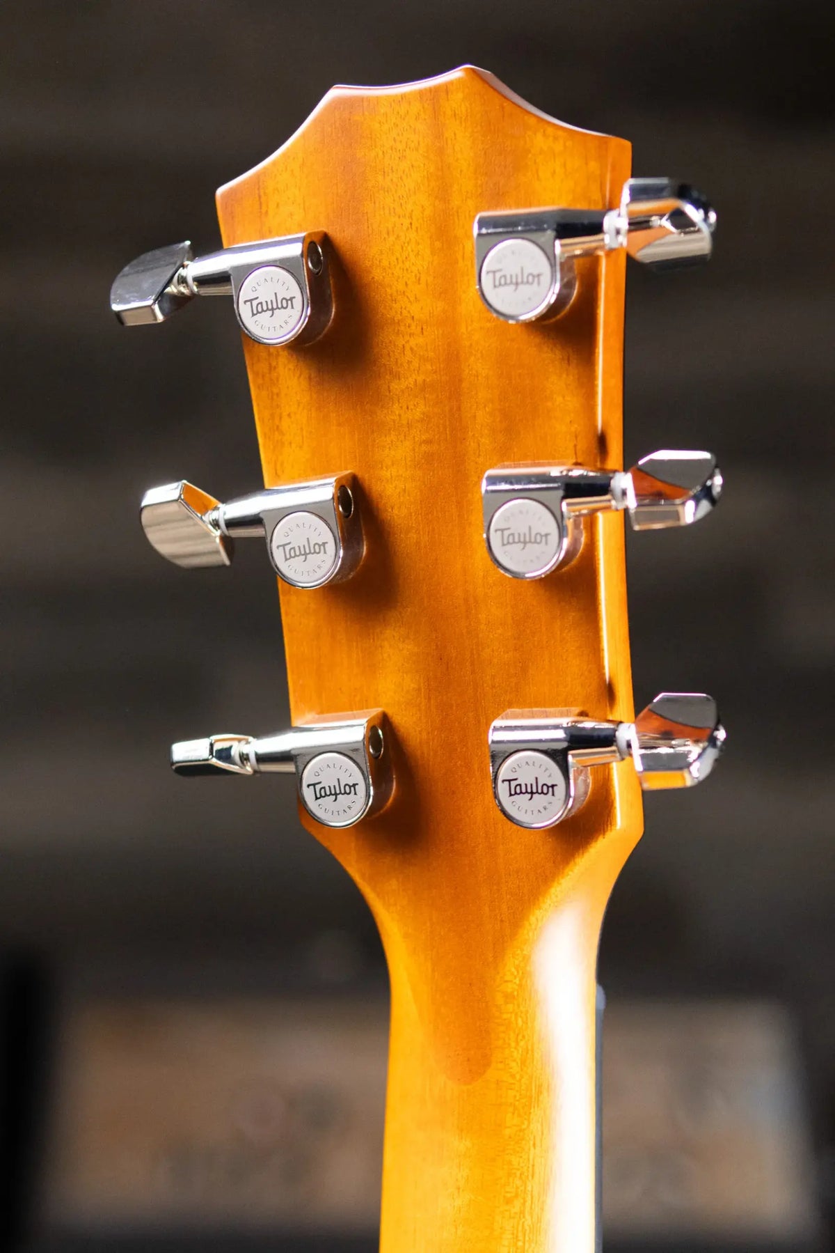Taylor Next Generation 614ce Grand Auditorium Acoustic/Electric Guitar - Antique Blonde with Hardshell Case