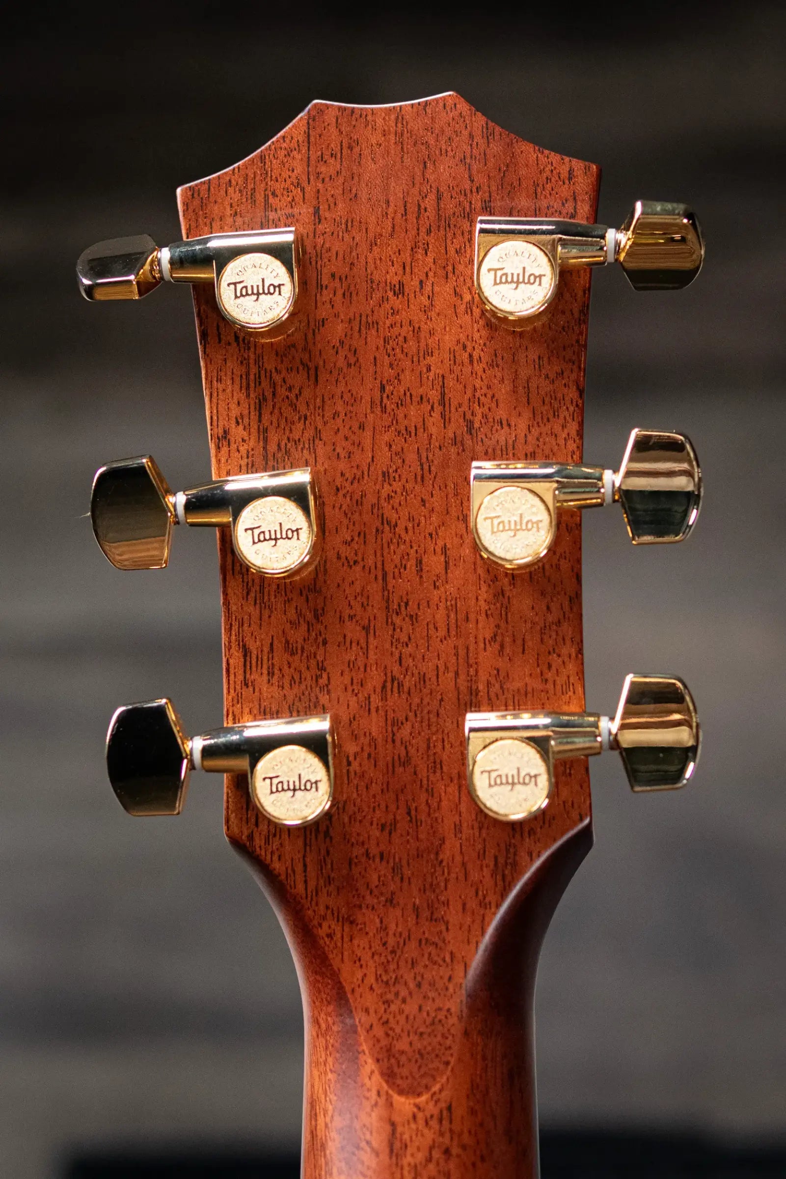 Taylor Next Generation 714ce Grand Auditorium Acoustic/Electric Guitar with Hardshell Case