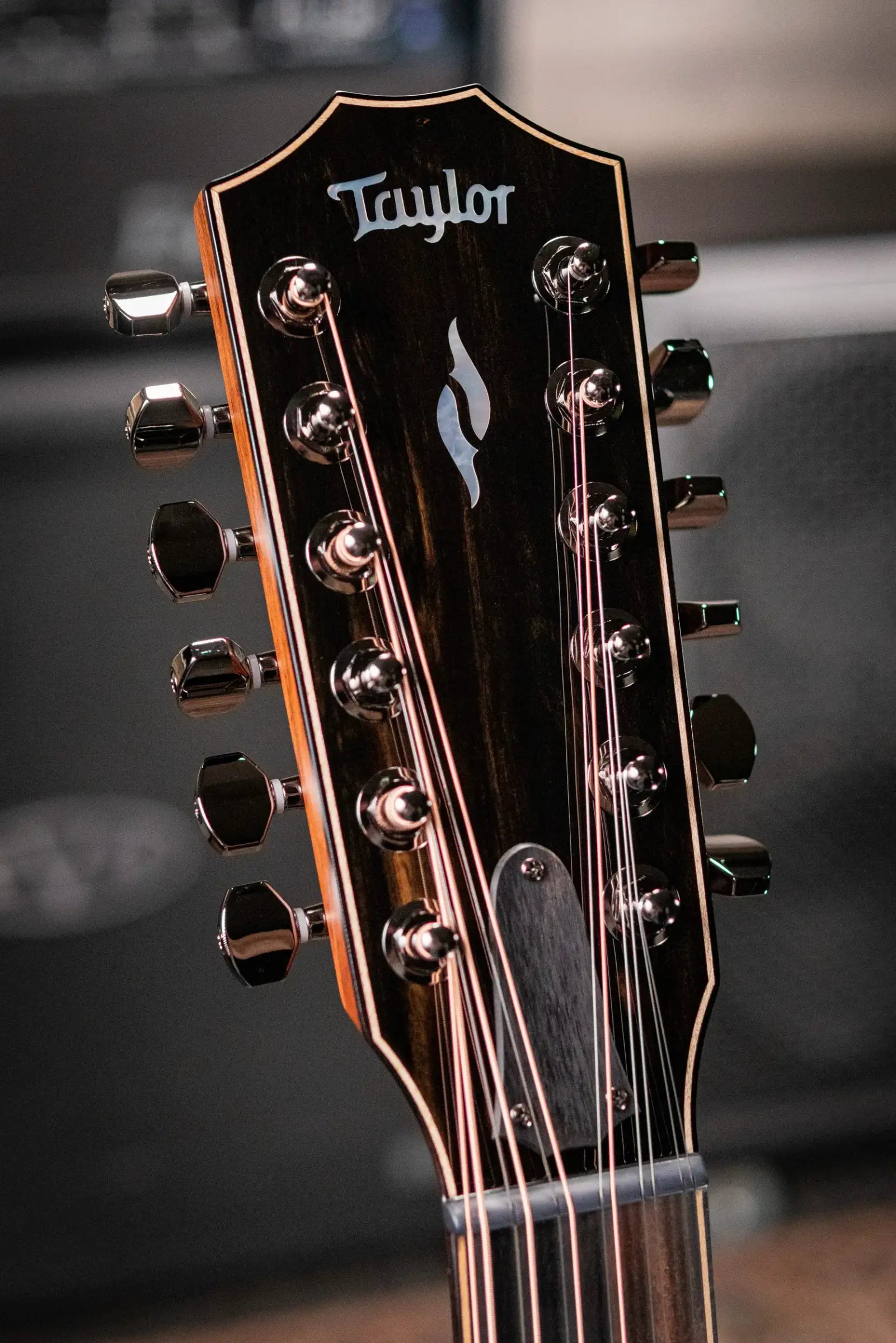 Taylor Next Generation 854ce 12-String Grand Auditorium Acoustic/Electric Guitar with Hardshell Case