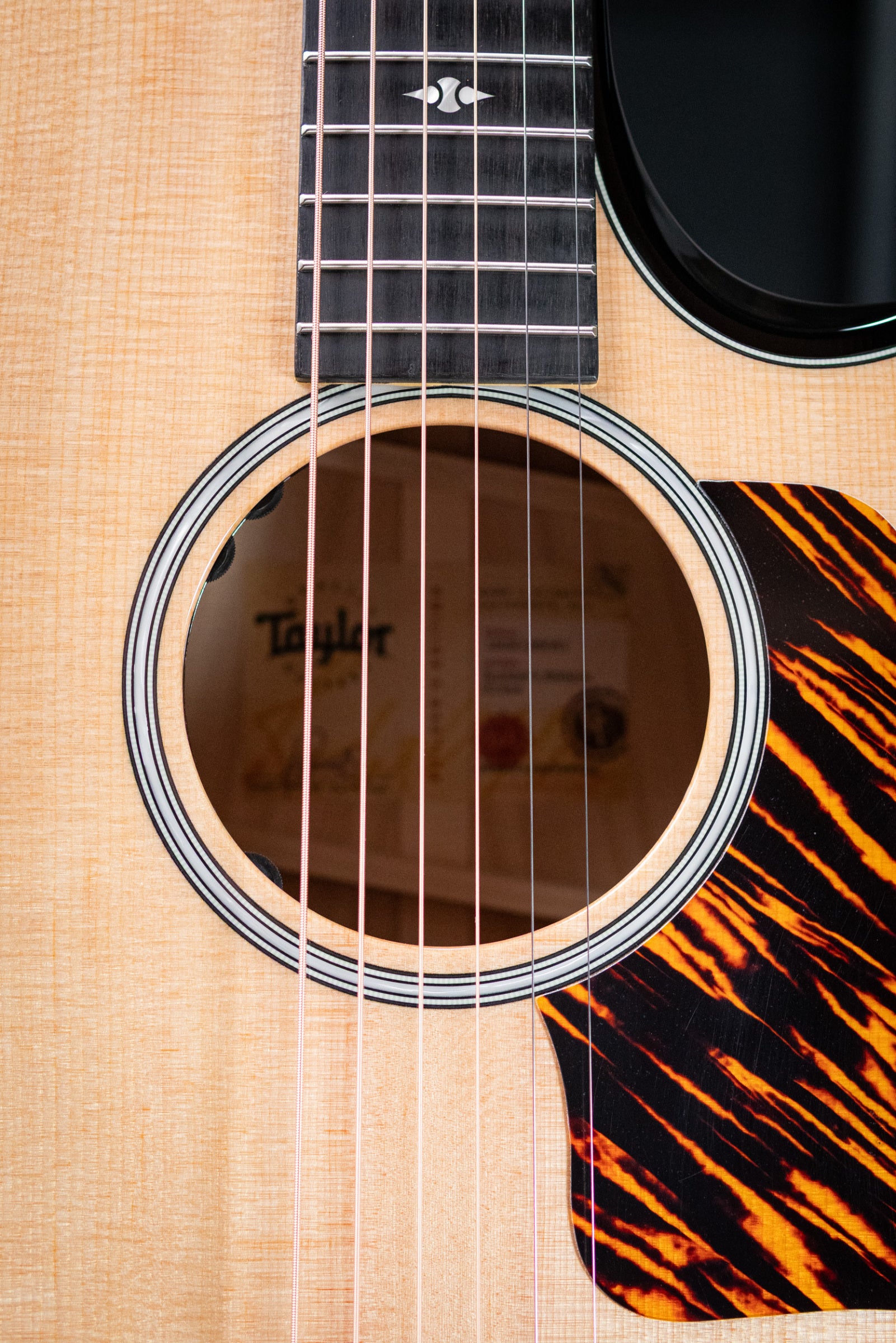 Taylor Next Generation Builder's Edition 514ce Grand Auditorium Acoustic/Electric Guitar - Natural with Hardshell Case
