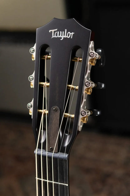 Taylor Next Generation K22ce 12-Fret Special Edition Grand Concert Acoustic/Electric Guitar with Hardshell Case
