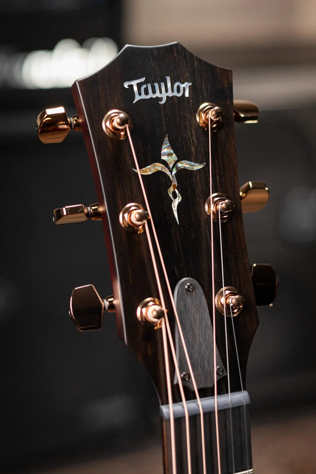 Taylor Next Generation K24ce Special Edition Grand Auditorium Acoustic/Electric Guitar with Hardshell Case - Demo