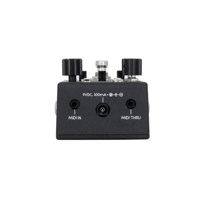 Walrus Audio Canvas Rehearsal Pedal