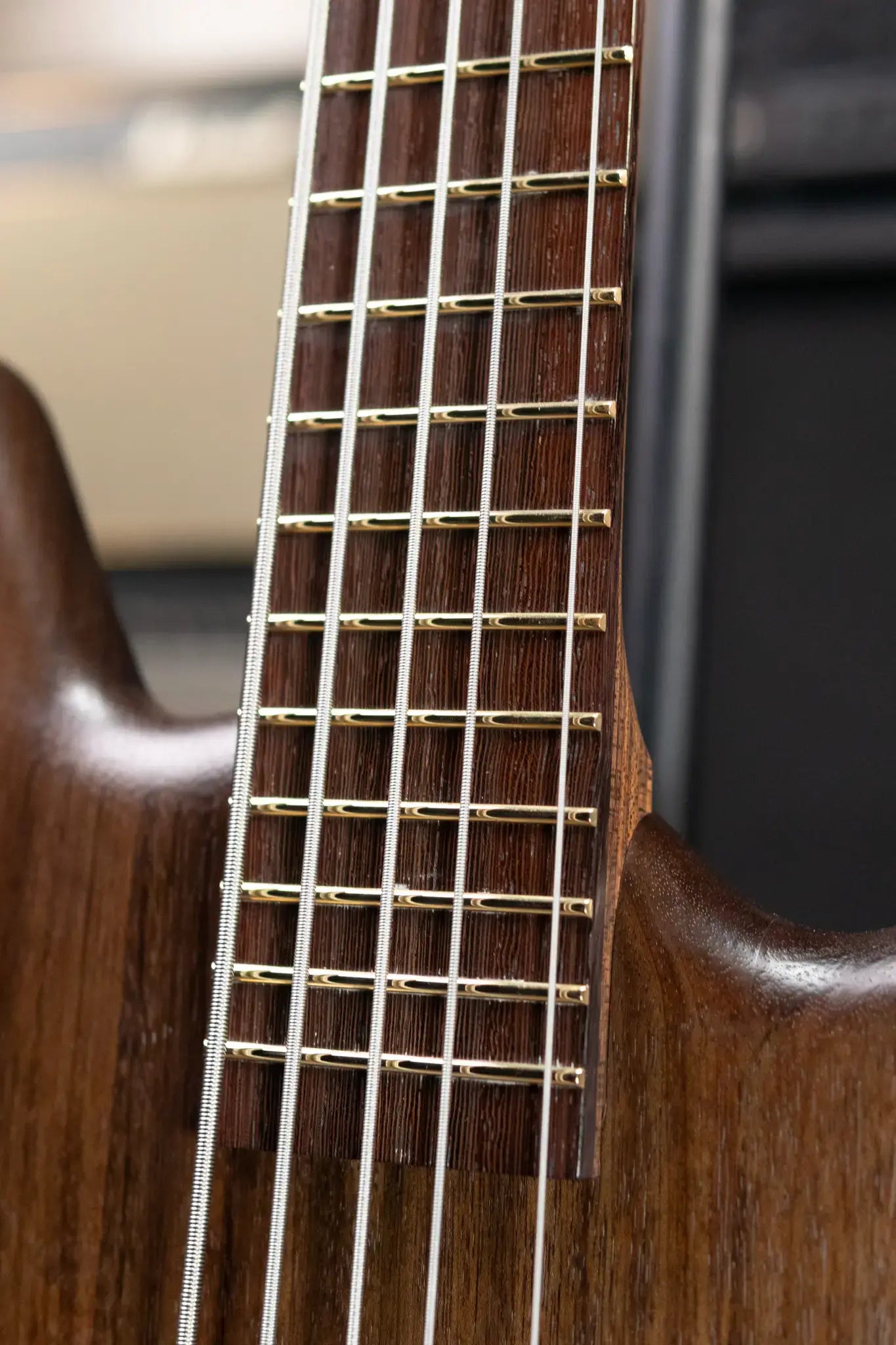 Warwick Pro Series Thumb BO 5-String Bass - Nirvana Black Transparent Satin with Gig Bag